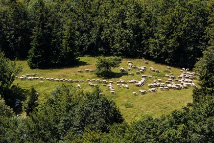 ENS de l'Isère, Plateau de la Molière et du Sornin, du plateau de Sornin