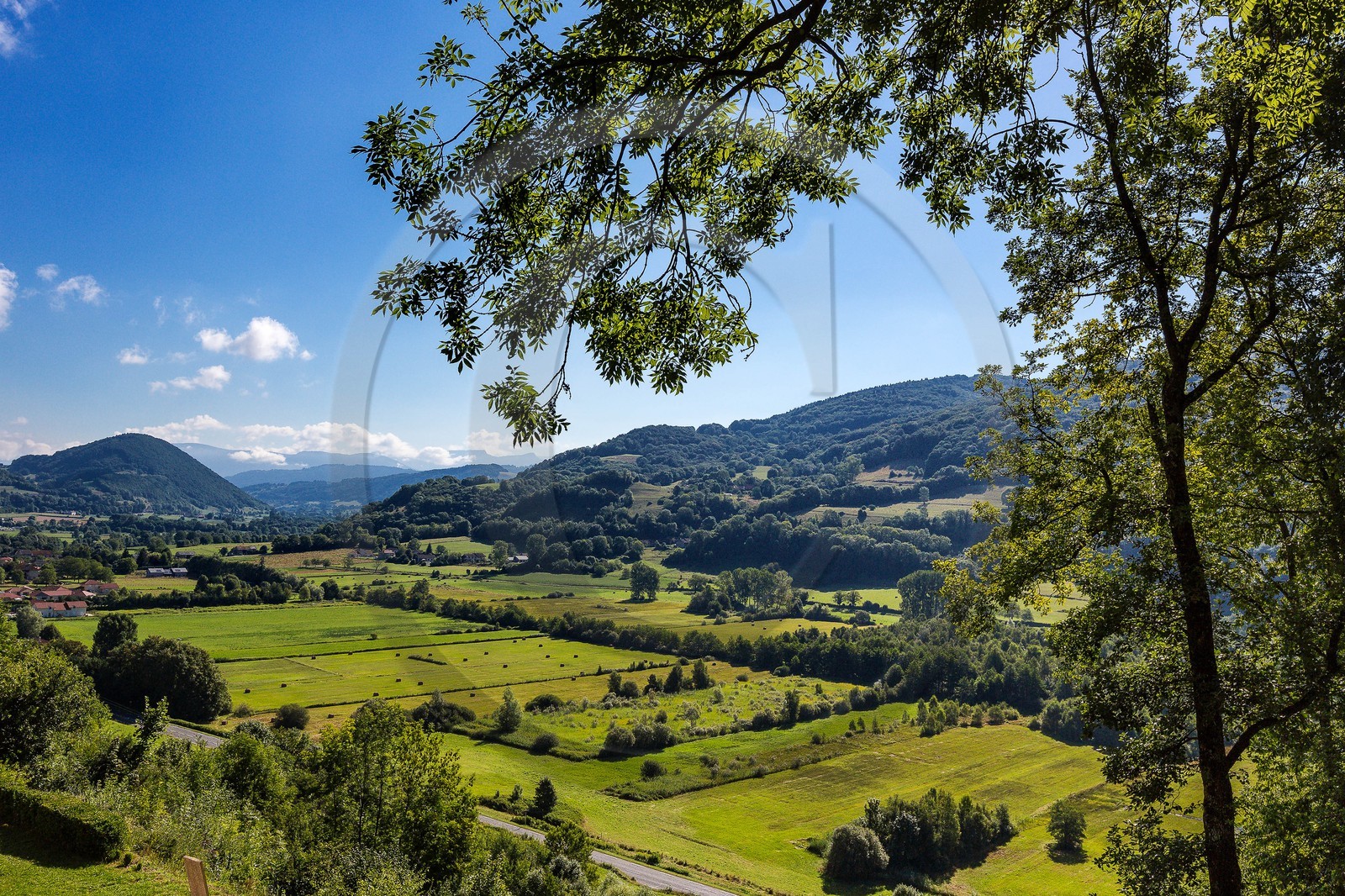 ENS de l'Isère, Marais de Chirens