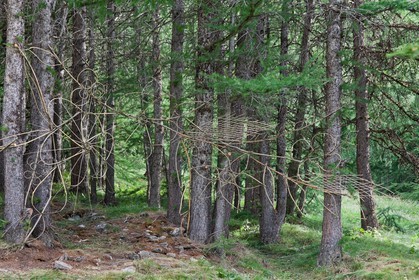 Claire Boucl, Sentiers Art et Nature Queyras et Val Varaita