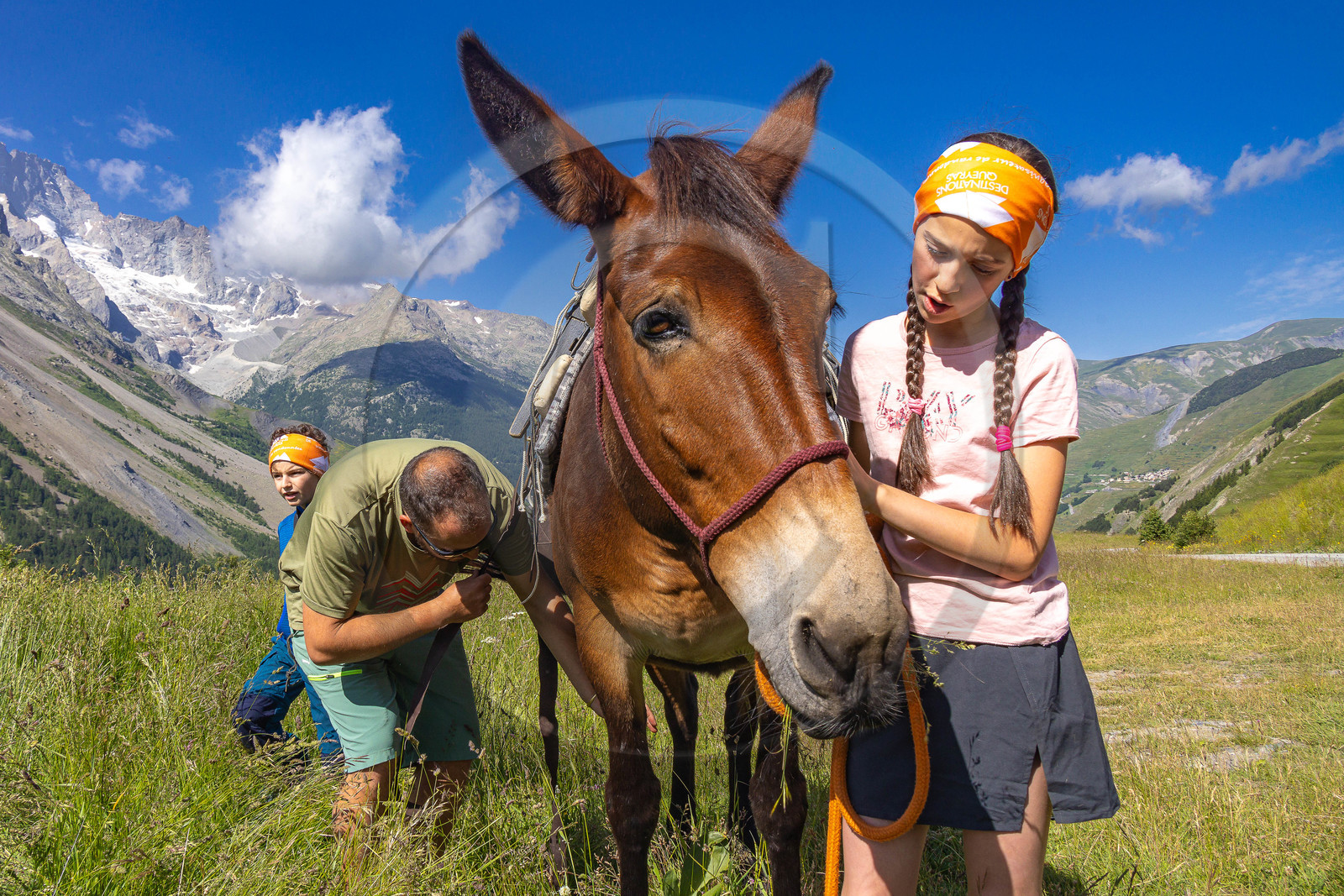 Trek famille avec animaux de bats