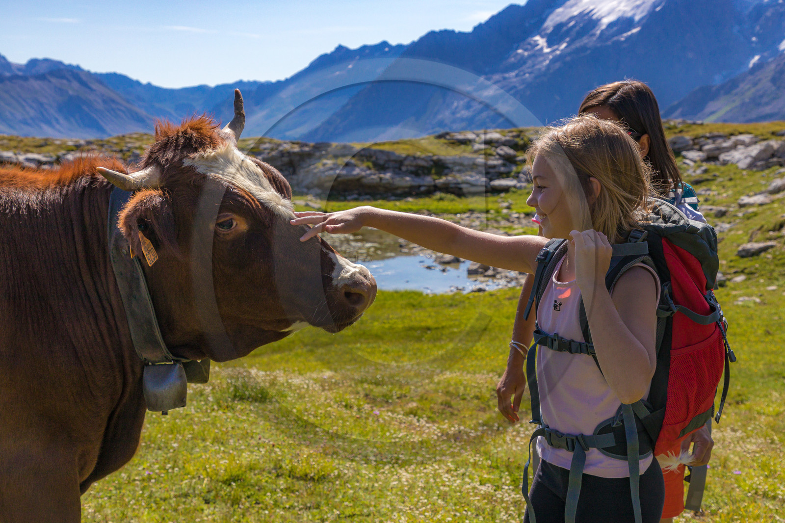 Plateau d'Emparis, randonnée pédestre
