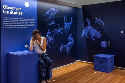 Musée Muséum départemental des Hautes-Alpes, Exposition Nuit