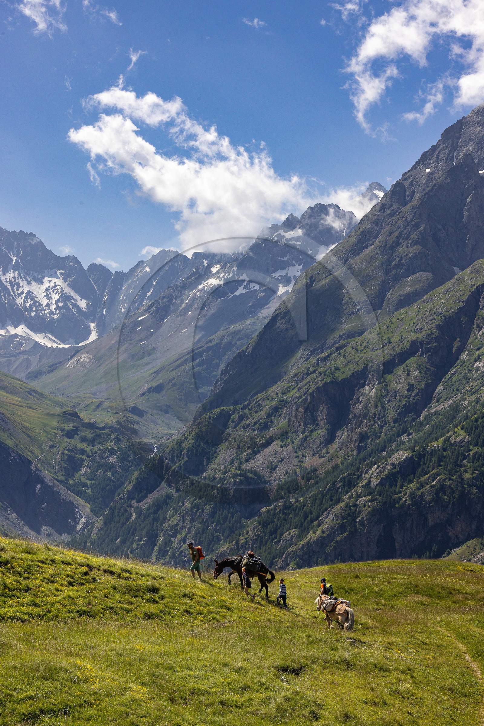 Trek famille avec animaux de bats