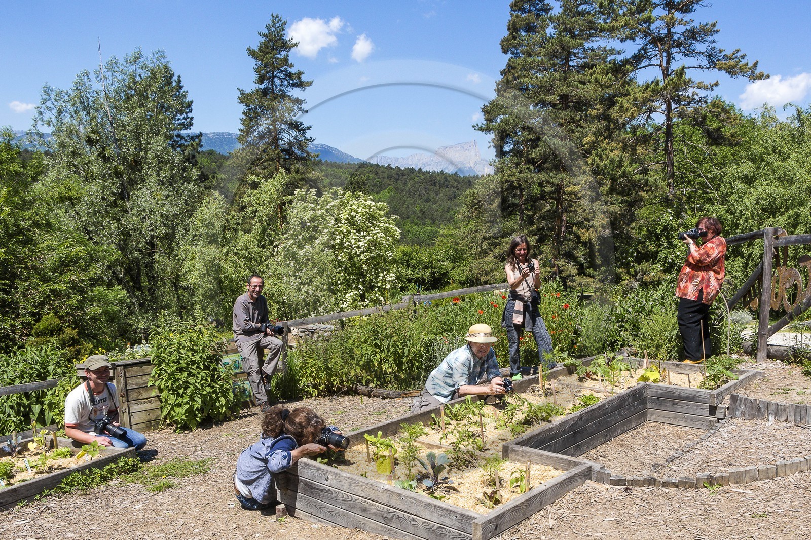 Parc écologique Terre Vivante, stage photo macro nature
