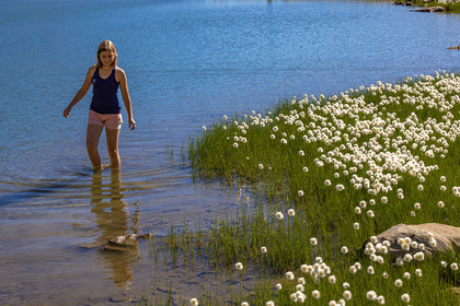 Lac Palluel