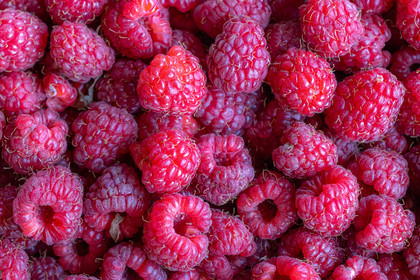 Ecrins de fruits, producteur de fruits rouges