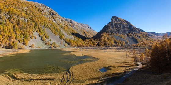 Jausiers, Lac des Sagnes et forêt de mélèzes à l'automne