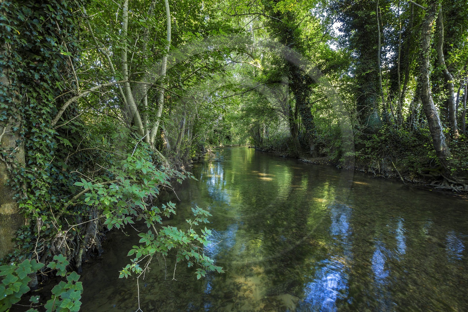 ENS de l'Isère, Zone humide de la Merlière