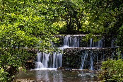 ENS de l'Isère, Zone humide de la Merlière