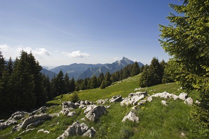 Le Grand Som depuis l'alpage de Pravouta
