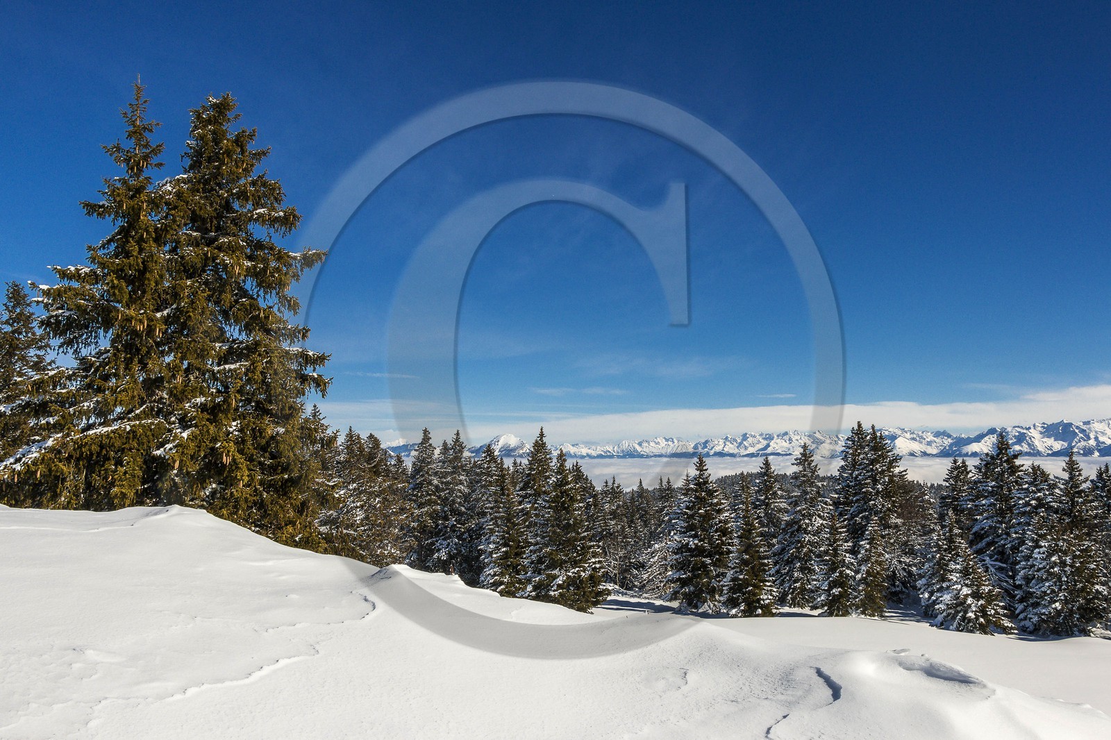 ENS de l'Isère, Plateau de la Molière et du Sornin