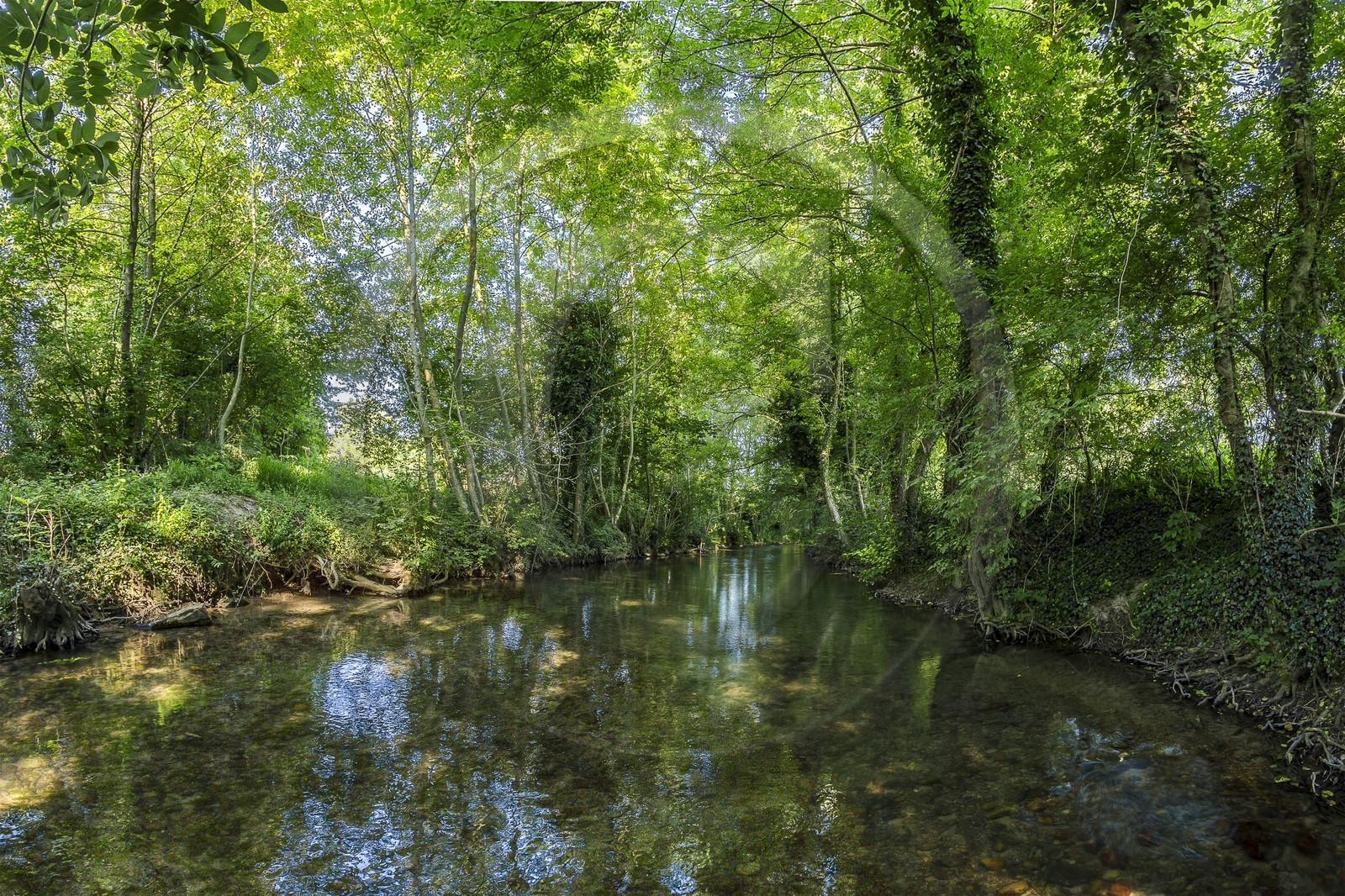 ENS de l'Isère, Zone humide de la Merlière