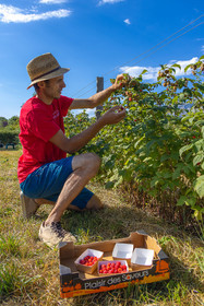 Ecrins de fruits, producteur de fruits rouges