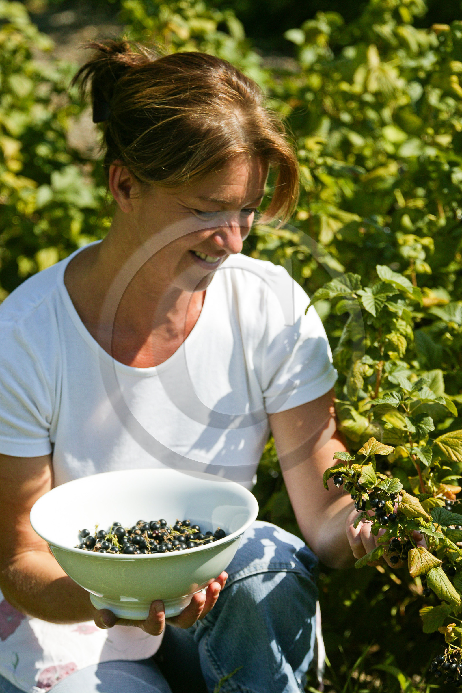 Auberge du Moulin, Corinne Borel