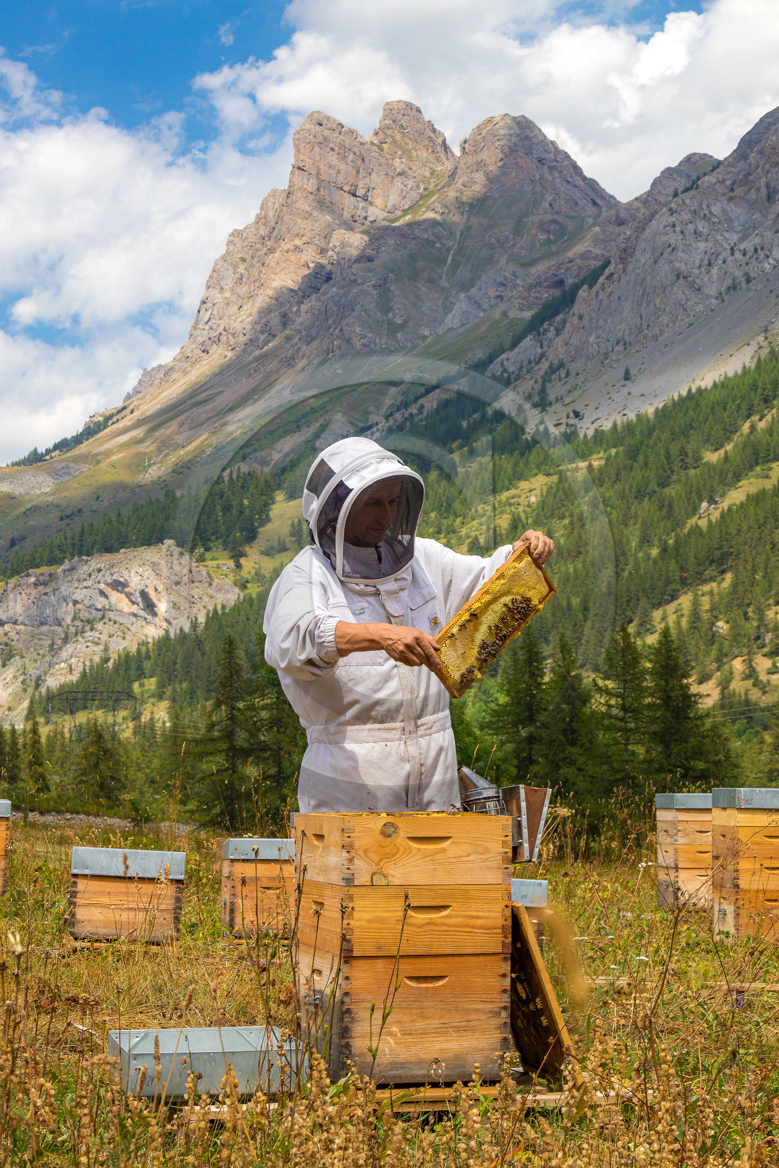 Miellerie de Serre Chevalier