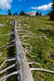 Espace naturel sensible de l'Isère, Col du Coq