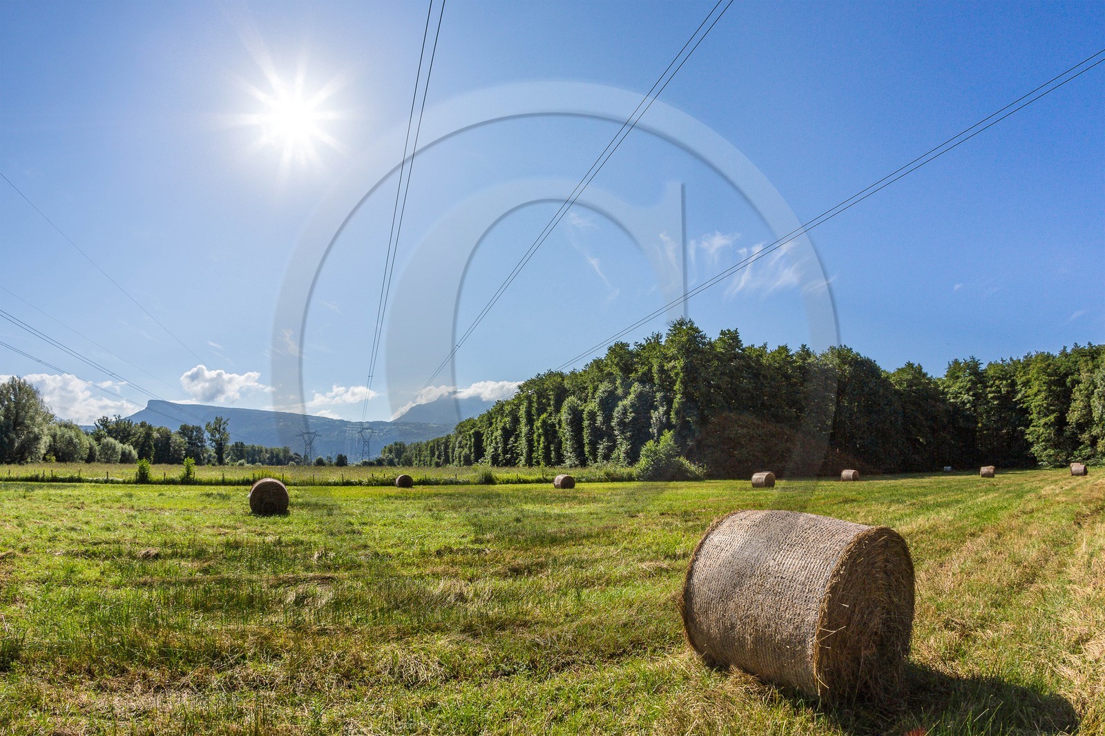 ENS de l'Isère, étang de Mai
