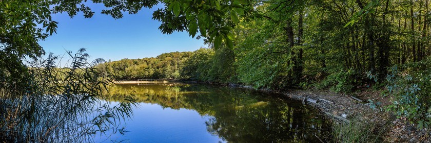 ENS de l'Isère, Etang des Béroudières