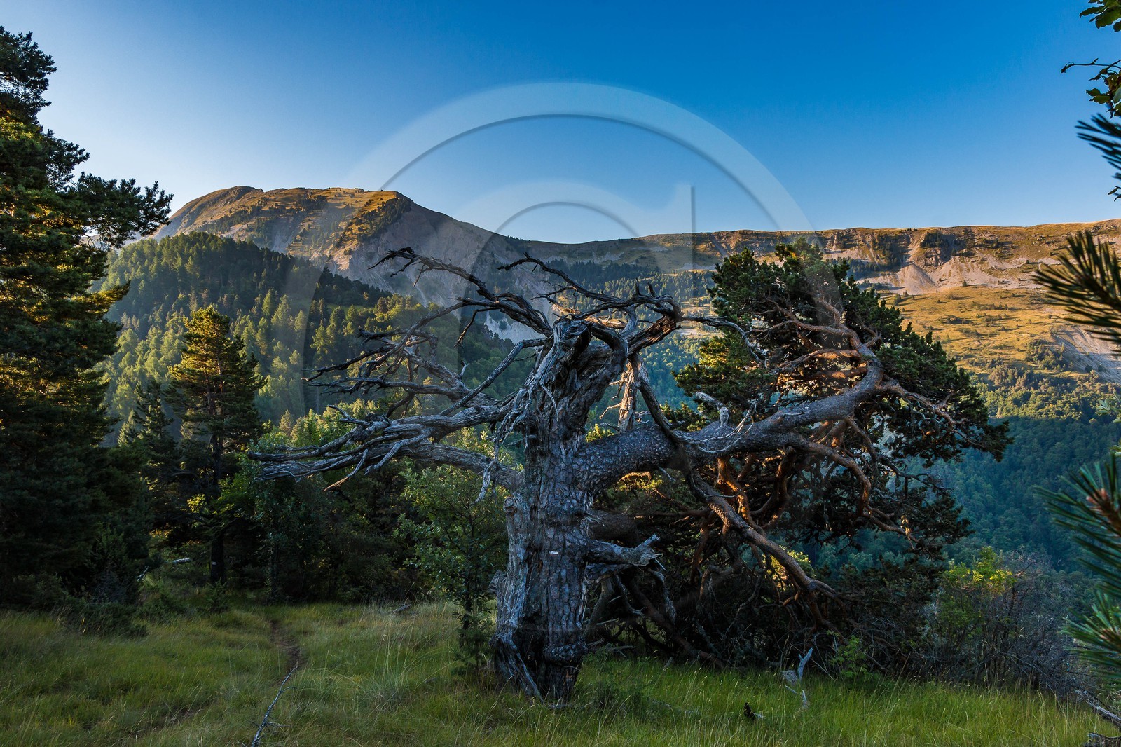 Les Monges, Coste Belle et les Monges 2115 m