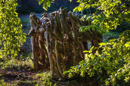 Les jardins de l'eau du Pré Curieux