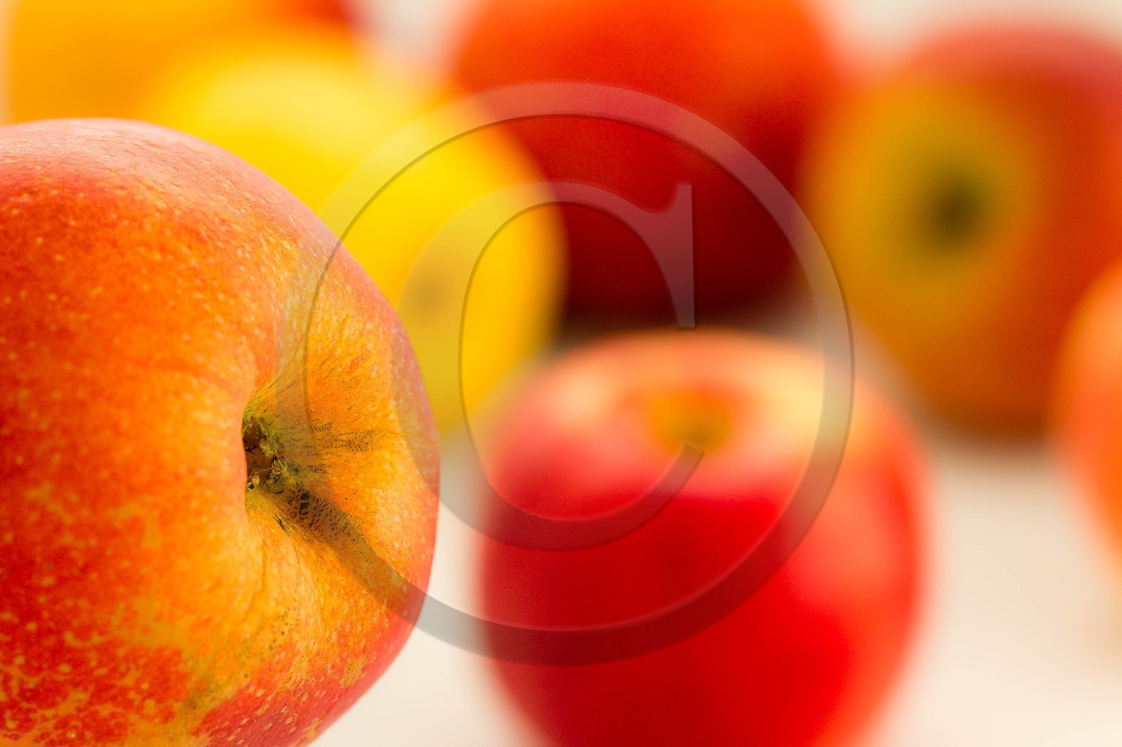 Noëlle et Franck Jacob, producteurs de fruits