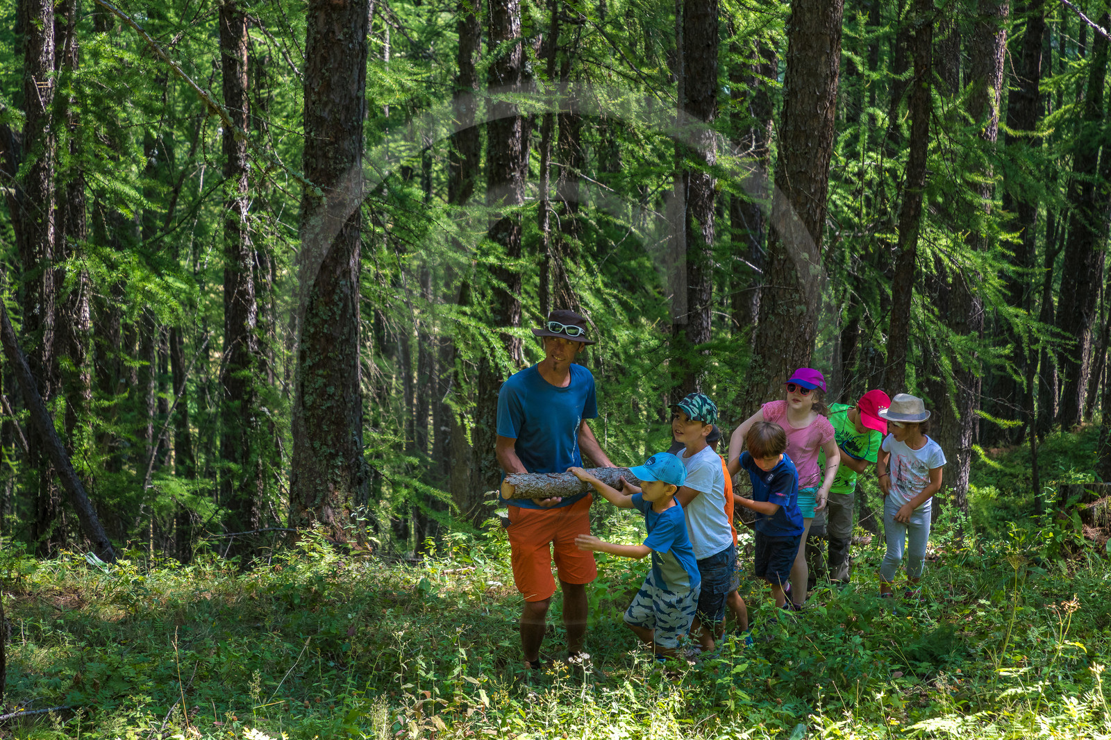 Curieux de nature, sortie découverte avec Cyril Mahout