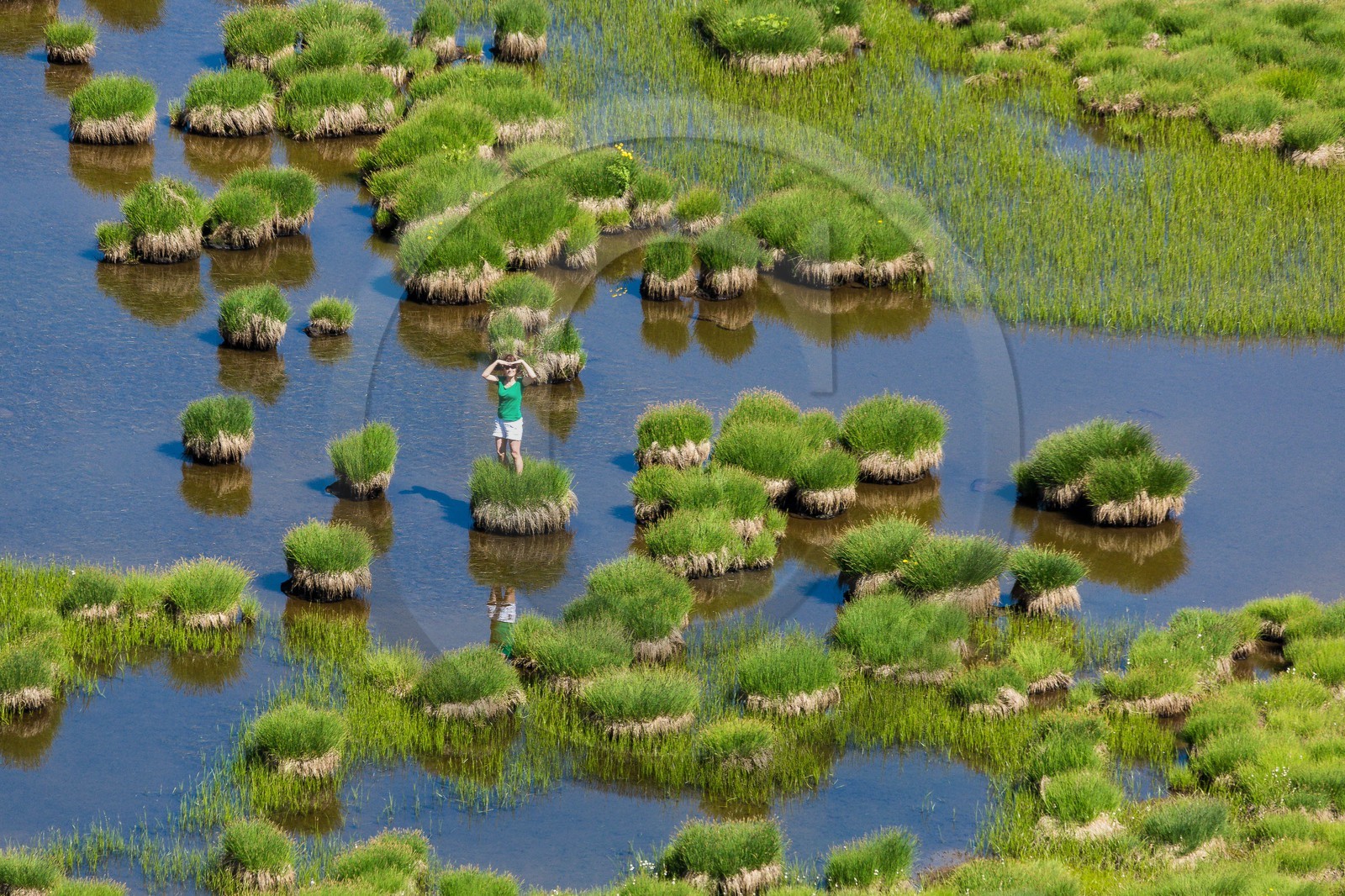 Vallon du Laverq, lac et tourbière Les Eaux-Tortes