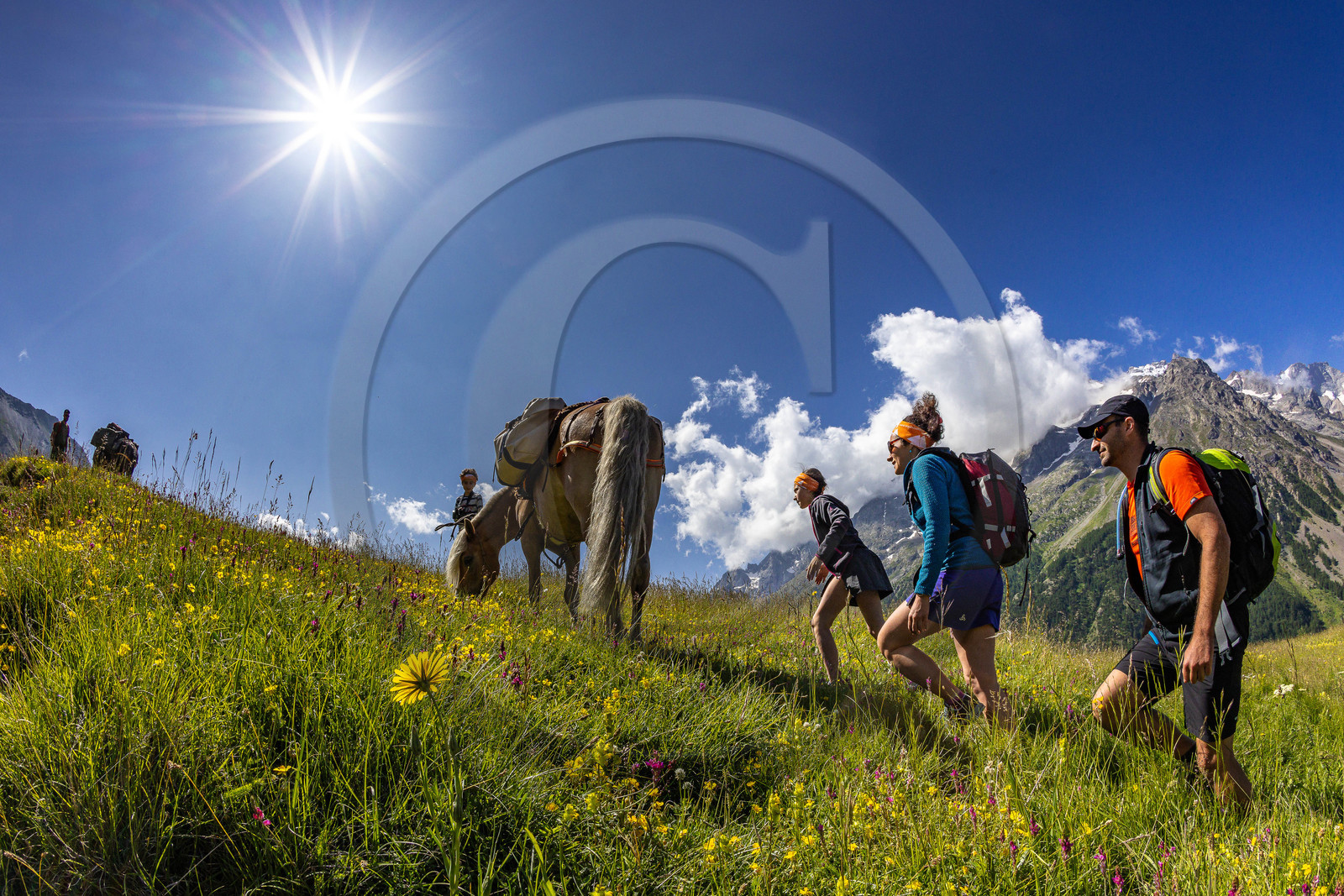 Trek famille avec animaux de bats