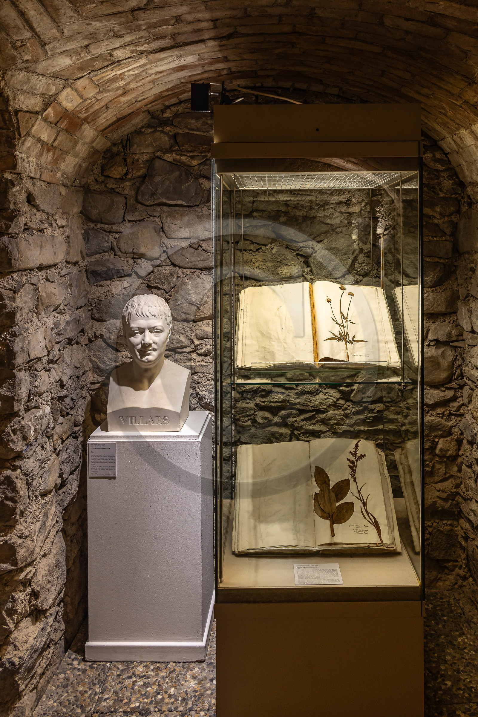 Musée Muséum départemental des Hautes-Alpes, herbier de Dominique Villars