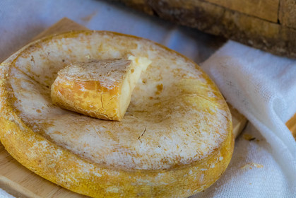 Ercheu des fromages de Savoie de tous mes cousins