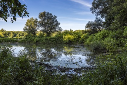 ENS de l'Isère, , le méandre des Oves