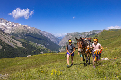 Trek famille avec animaux de bats