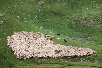 Alpage de Jujal, Le Bailou, berger