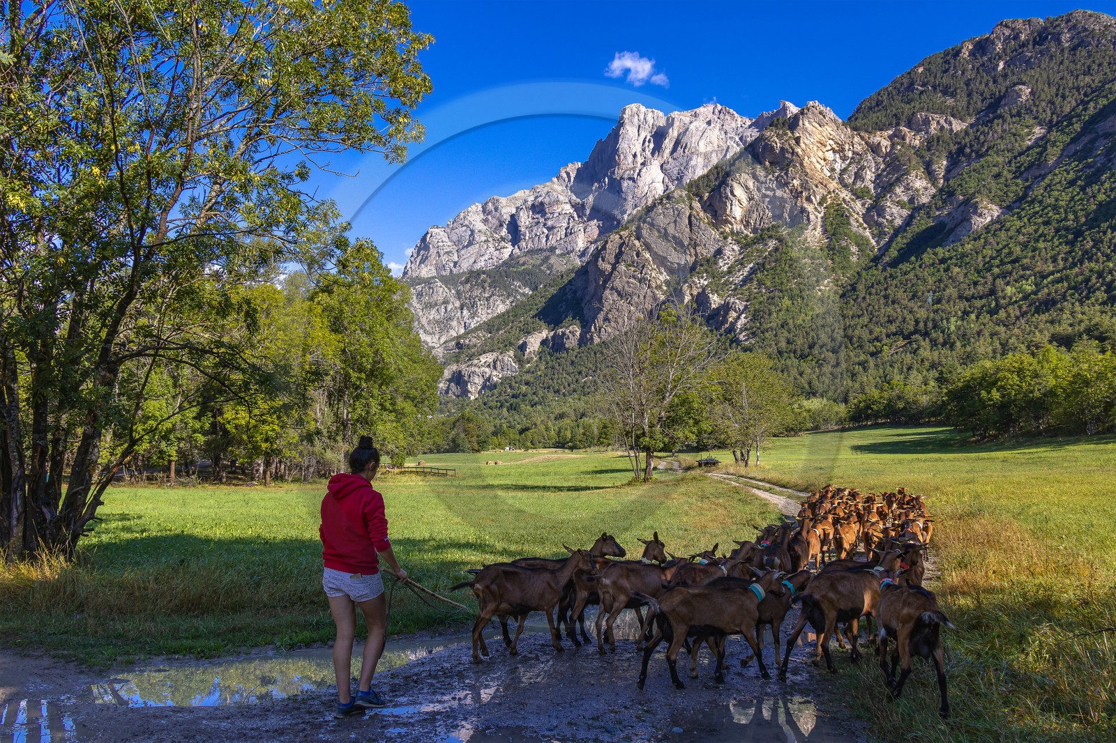 Gaec La Ferme des Ecrins