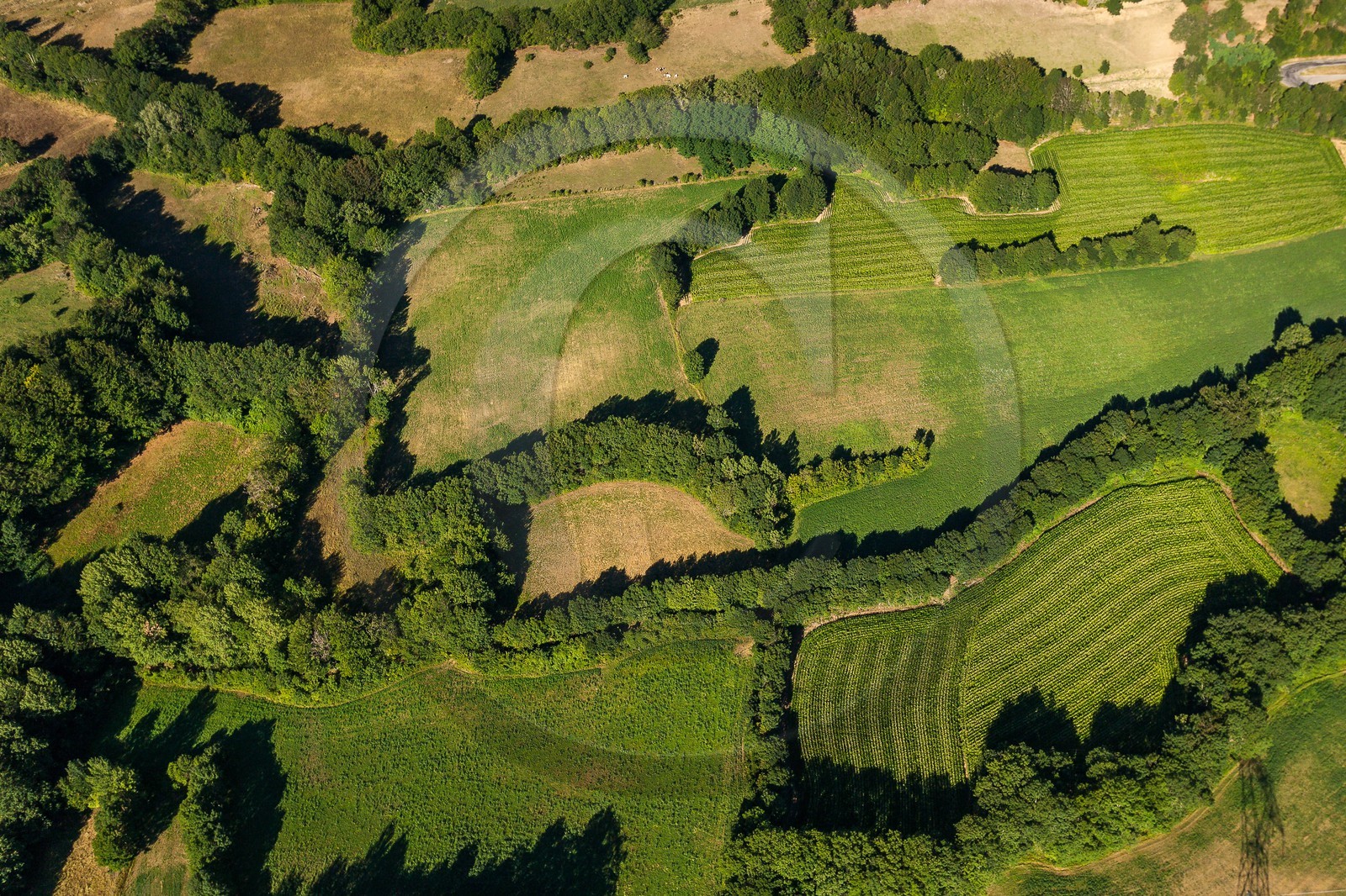 Vallée du Champsaur, le bocage