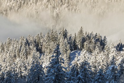 ENS de l'Isère, Plateau de la Molière et du Sornin