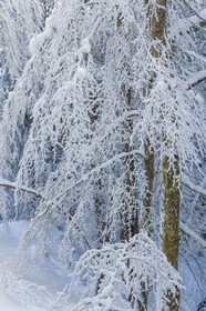 ENS de l'Isère, Les Ecouges