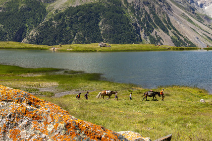 Trek famille avec animaux de bats