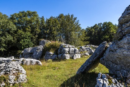 ENS de l'Isère, Plateau de la Molière et du Sornin, du plateau de Sornin