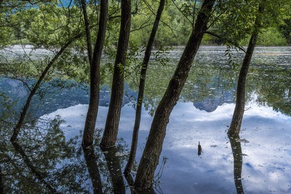 ENS de l'Isère, bois de la Bâtie