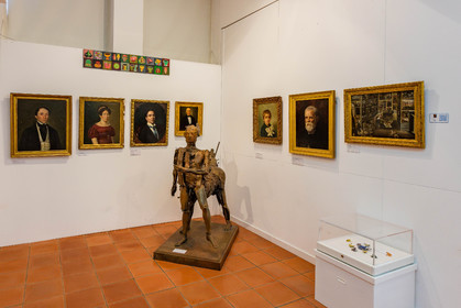 Gap, Musée Muséum départemental des Hautes-Alpes