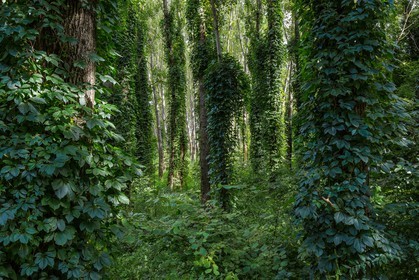 ENS de l'Isère, Boucle des Moïles