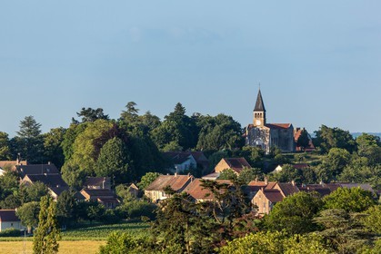 Domaine viticole Michel-Andreotti