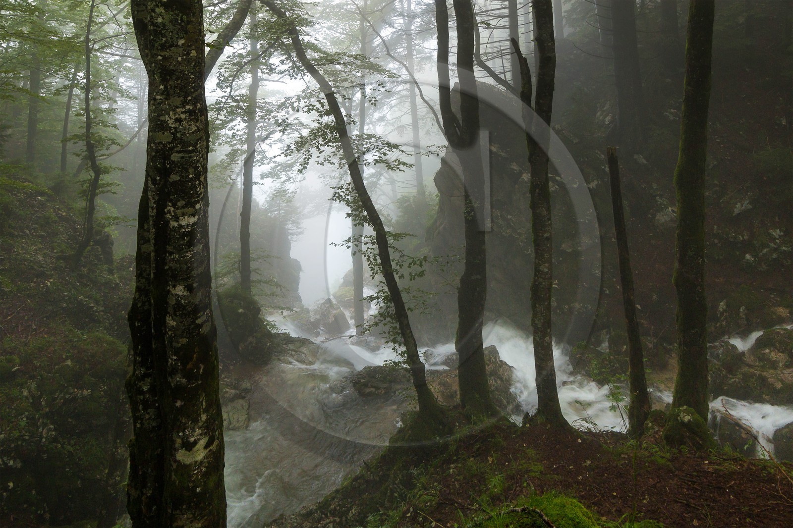 ENS de l'Isère, Les Ecouges
