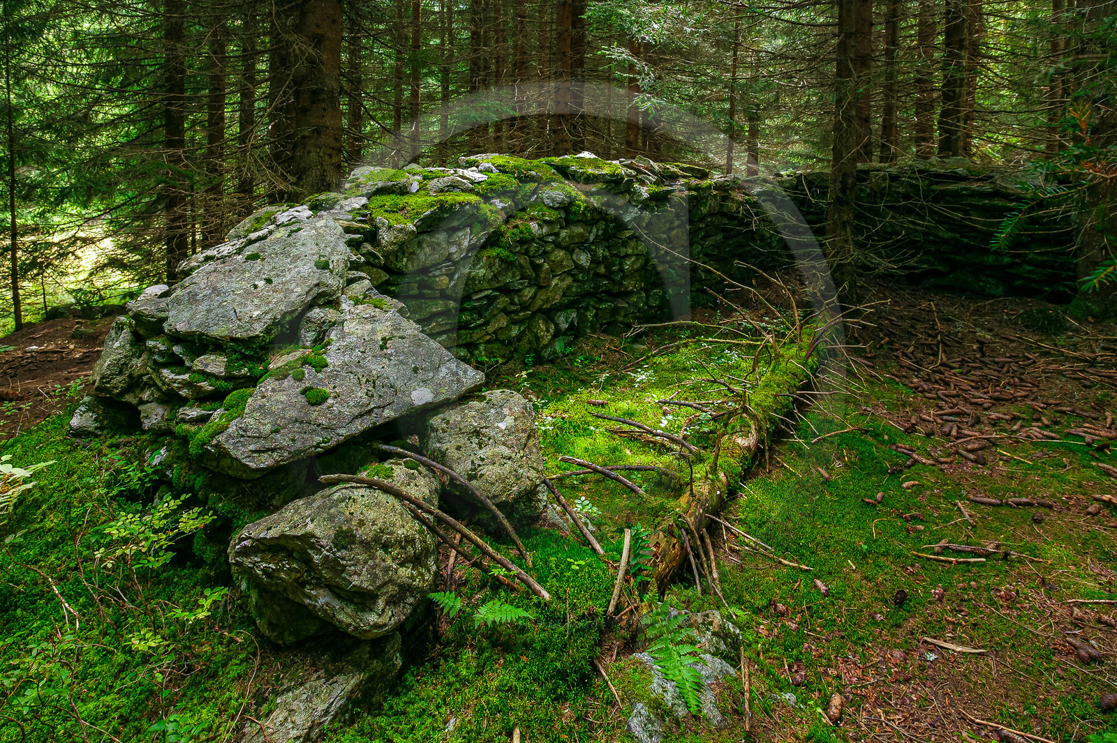 Ruines, vieux mur en pierre sèche