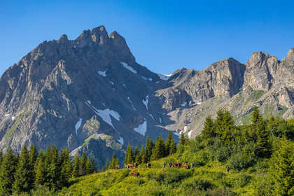 Réserve Naturelle des Contamines-Montjoie, randonnée pédestre