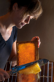 Margaux and Didier Pissard, beekeepers