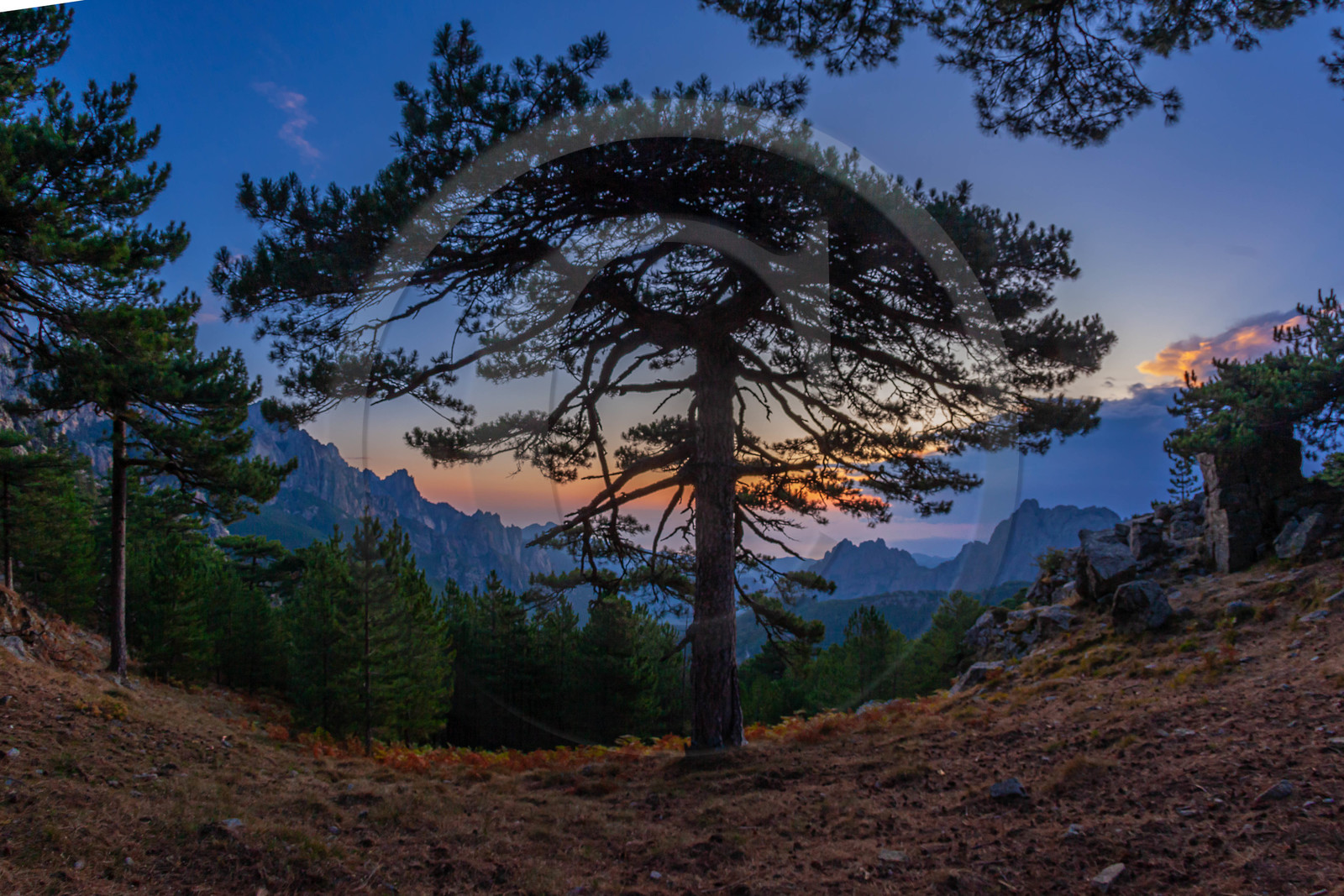 Les Aiguilles de Bavella (forchi di Bavedda )