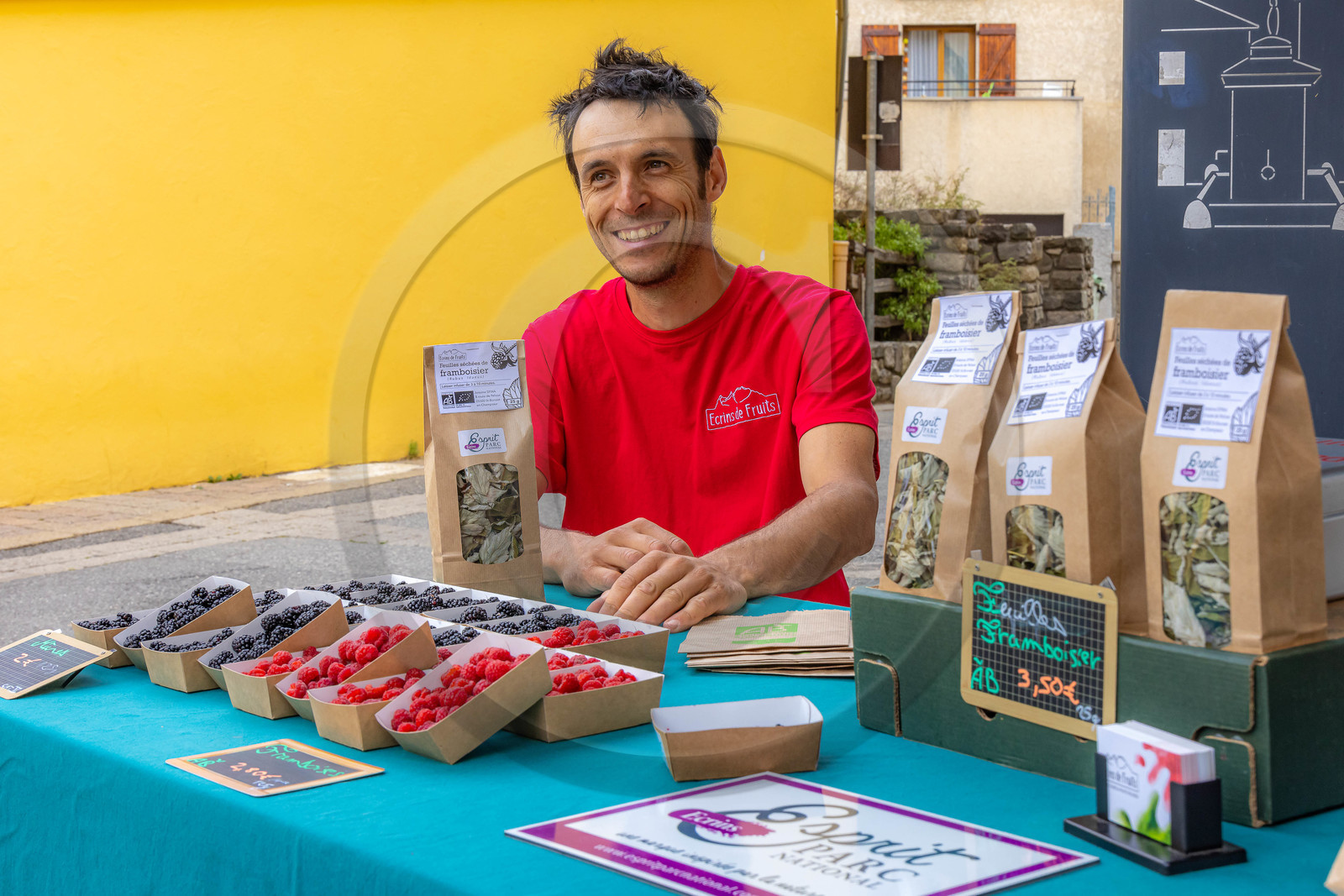 Ecrins de fruits, producteur de fruits rouges
