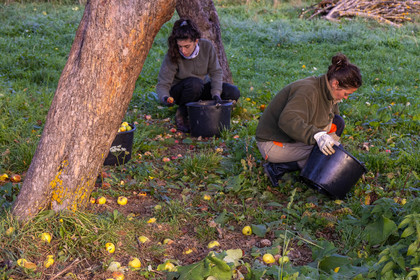 Etablissement Gayral, producteur de jus